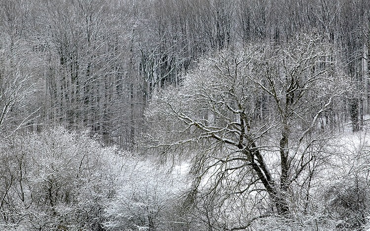 Master Light Fundamentals: Elevate Your Photography with Essential Techniques