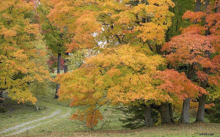 Master Light Fundamentals: Elevate Your Photography with Essential Techniques