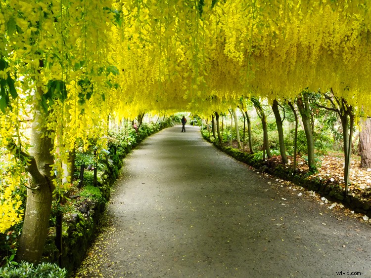 Why Olympus Mirrorless Cameras Excel for Travel Photography