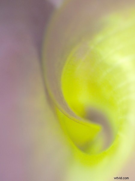 Why Olympus Mirrorless Cameras Excel for Travel Photography