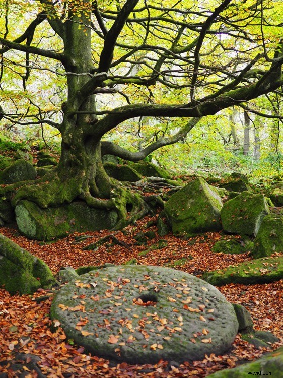 Why Olympus Mirrorless Cameras Excel for Travel Photography