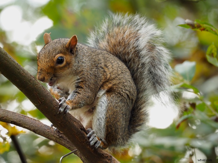 Why Olympus Mirrorless Cameras Excel for Travel Photography