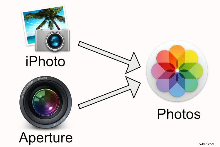 Apple Photos: The Underrated Powerhouse for Pro-Level Photo Editing