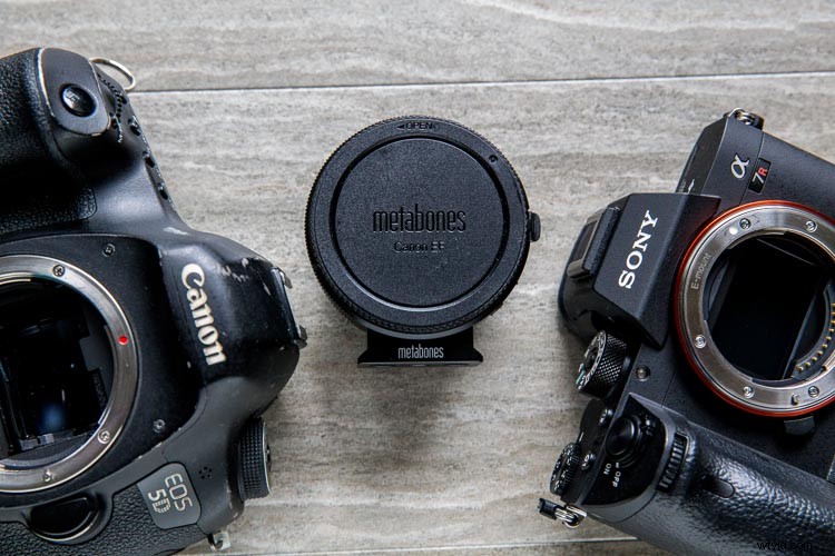 Why a Pro Photographer Switched from Canon DSLRs to Sony A7RIII