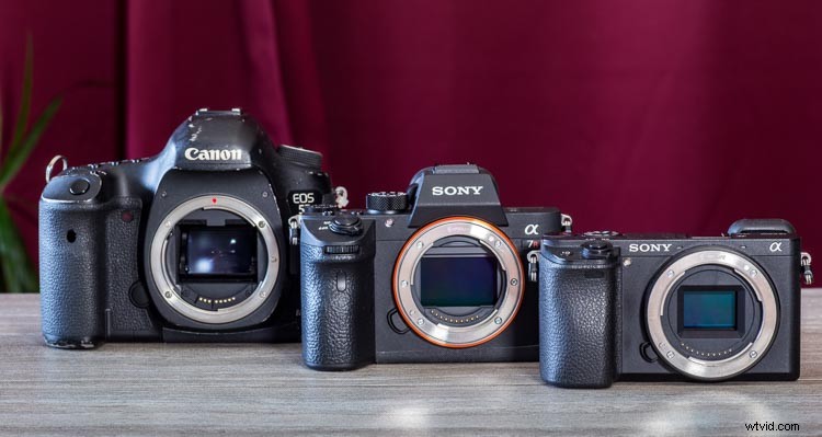 Why a Pro Photographer Switched from Canon DSLRs to Sony A7RIII