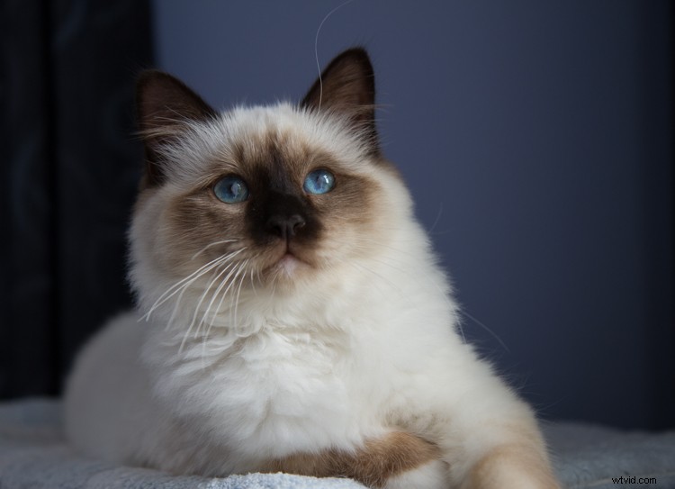 Essential Composition Checklist for Beginner Photographers