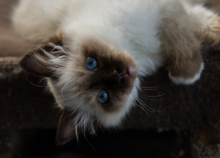 Essential Composition Checklist for Beginner Photographers