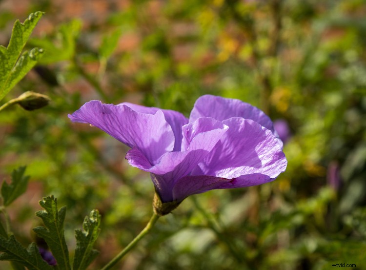 Essential Composition Checklist for Beginner Photographers