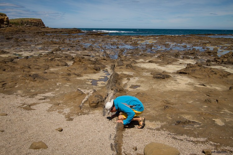 Essential Composition Checklist for Beginner Photographers