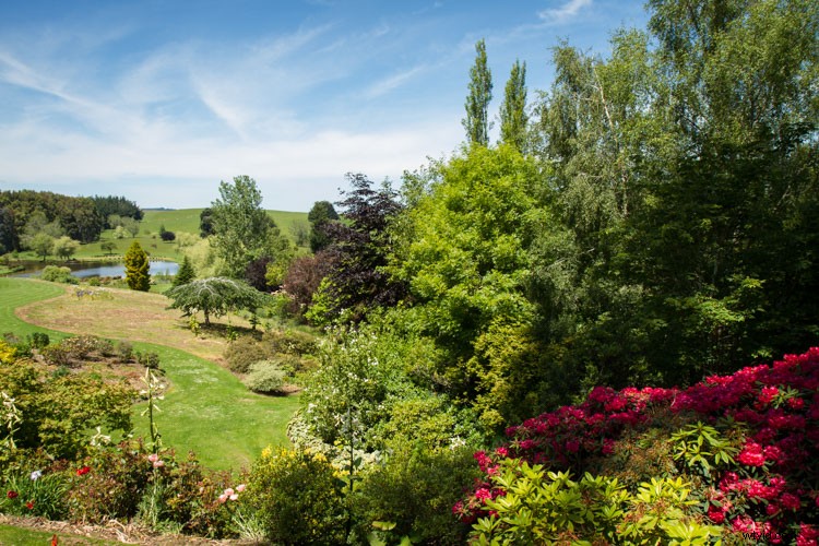 Essential Composition Checklist for Beginner Photographers