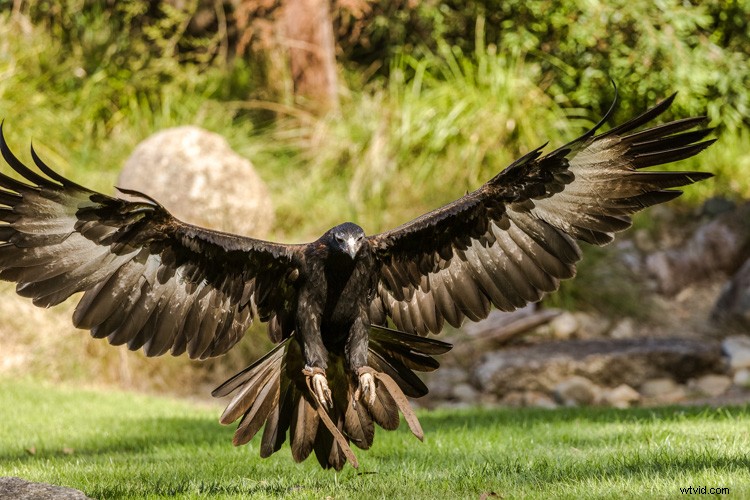 Essential Composition Checklist for Beginner Photographers