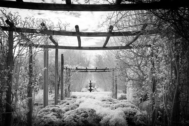 Expert Guide: Convert Your Old Camera for Stunning Infrared Photography