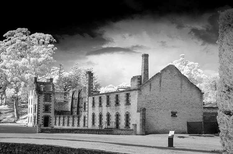 Expert Guide: Convert Your Old Camera for Stunning Infrared Photography