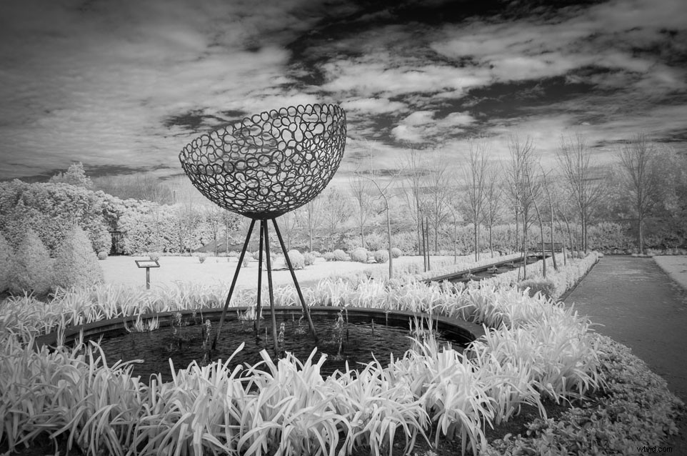 Expert Guide: Convert Your Old Camera for Stunning Infrared Photography
