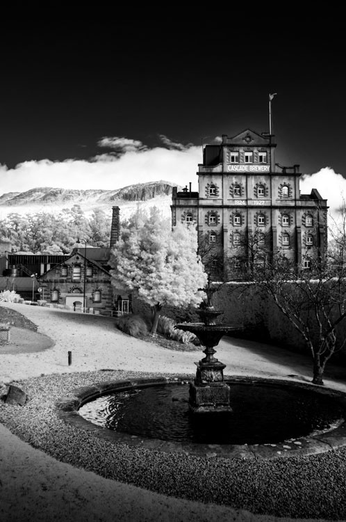 Expert Guide: Convert Your Old Camera for Stunning Infrared Photography