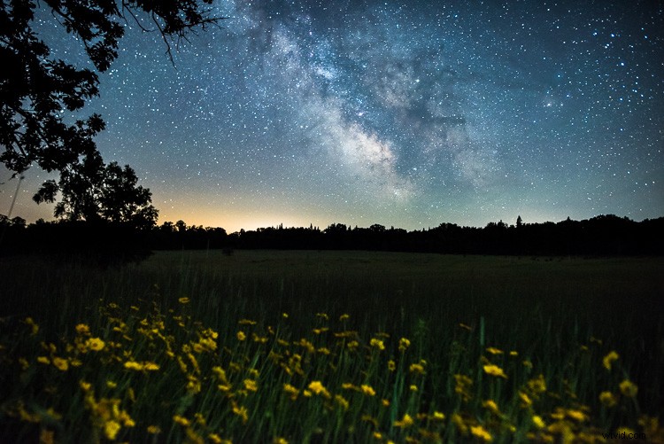 Mastering Light Painting: Expert Tips and Common Pitfalls to Avoid in Night Photography