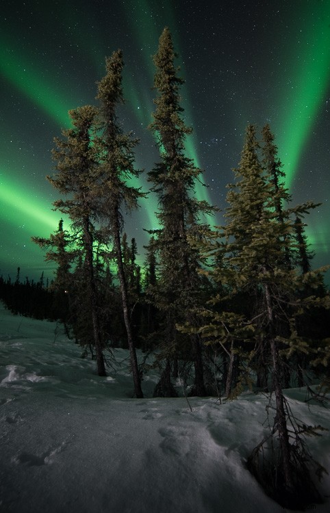 Mastering Light Painting: Expert Tips and Common Pitfalls to Avoid in Night Photography