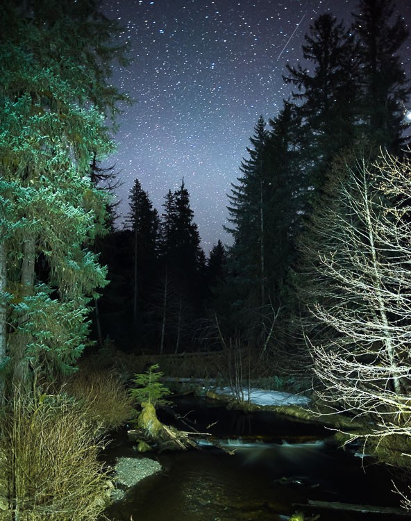 Mastering Light Painting: Expert Tips and Common Pitfalls to Avoid in Night Photography