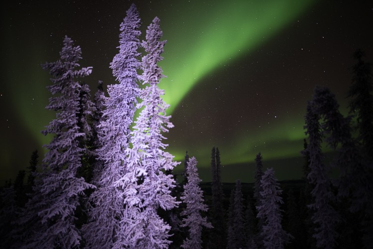 Mastering Light Painting: Expert Tips and Common Pitfalls to Avoid in Night Photography