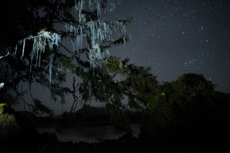 Mastering Light Painting: Expert Tips and Common Pitfalls to Avoid in Night Photography