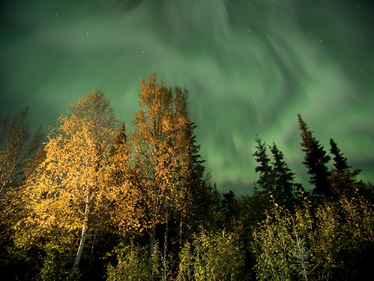 Mastering Light Painting: Expert Tips and Common Pitfalls to Avoid in Night Photography