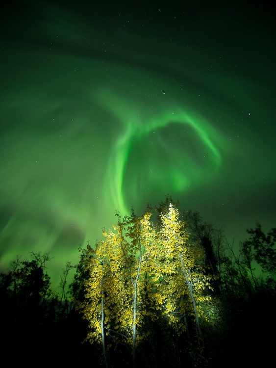 Mastering Light Painting: Expert Tips and Common Pitfalls to Avoid in Night Photography