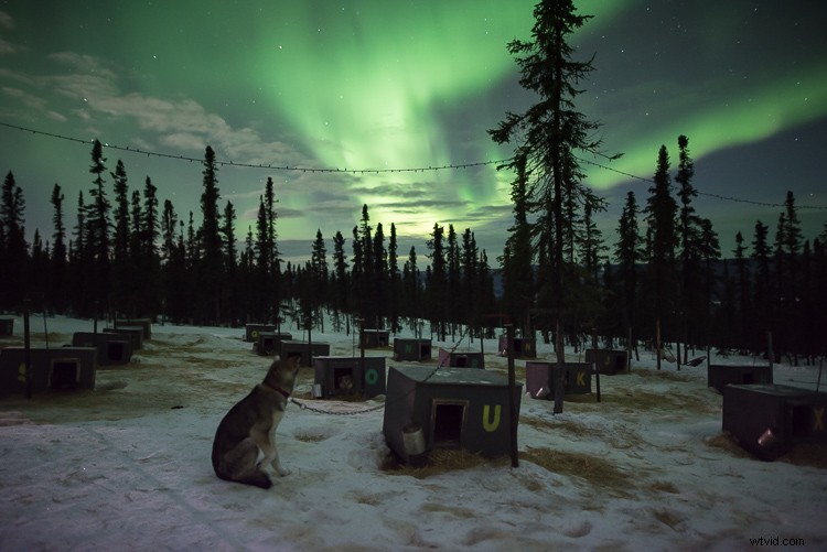 Mastering Light Painting: Expert Tips and Common Pitfalls to Avoid in Night Photography