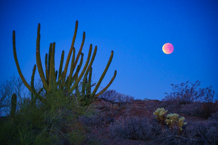 3 Expert Techniques for Capturing Stunning Moon in Landscape Photography