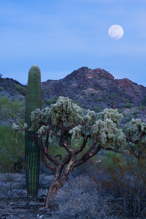 3 Expert Techniques for Capturing Stunning Moon in Landscape Photography