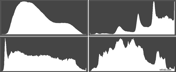 Histogram Demystified: Debunking 8 Common Myths and Revealing Key Facts