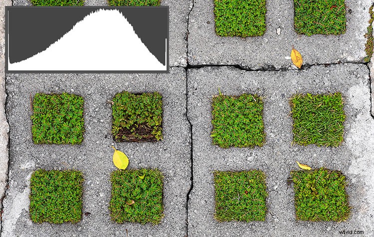Histogram Demystified: Debunking 8 Common Myths and Revealing Key Facts