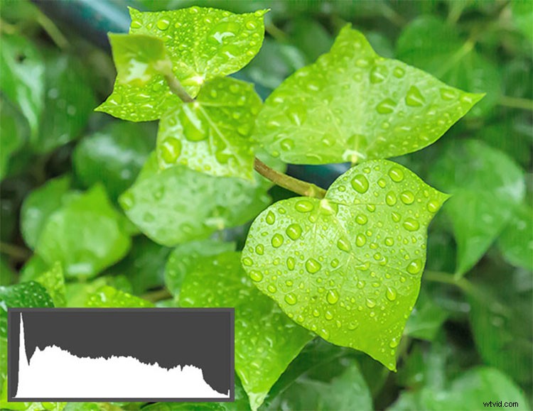 Histogram Demystified: Debunking 8 Common Myths and Revealing Key Facts