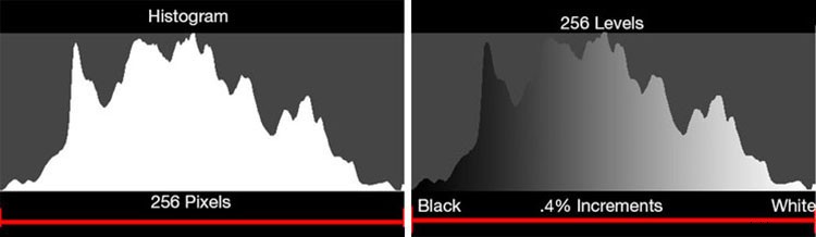 Histogram Demystified: Debunking 8 Common Myths and Revealing Key Facts