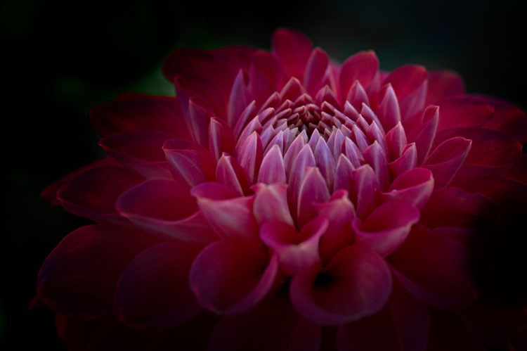 ON1 Photo RAW 2018.1: Comprehensive Overview of the Ultimate Photo Editing Software