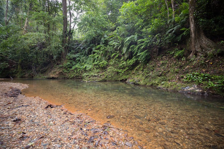 Expert Post-Processing Workflow Tips for Stunning Landscape Photography