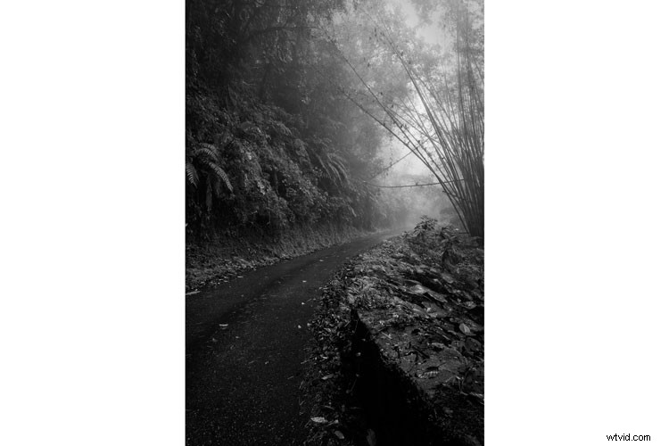 Expert Post-Processing Workflow Tips for Stunning Landscape Photography