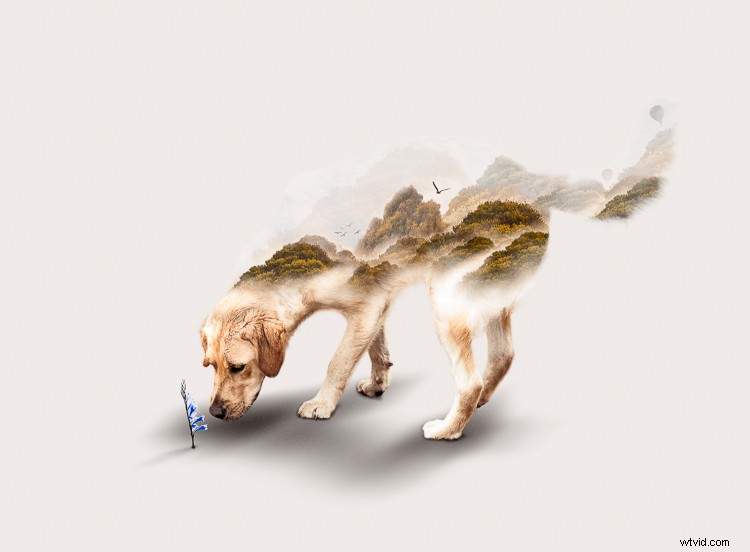 Create Stunning Silky Split-Toned Black & White Photos with Luminosity Masks