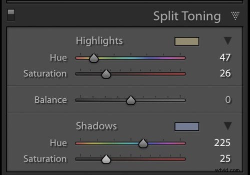 Create Stunning Silky Split-Toned Black & White Photos with Luminosity Masks