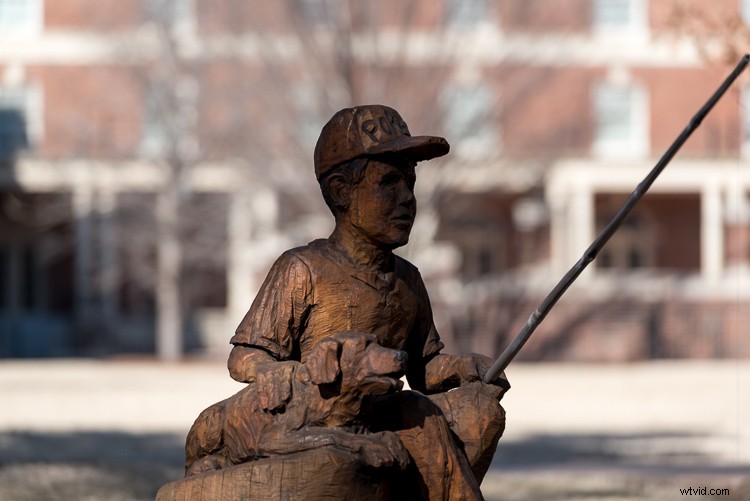 Master Exposure Compensation: Unlock Perfect Exposures on Your Camera