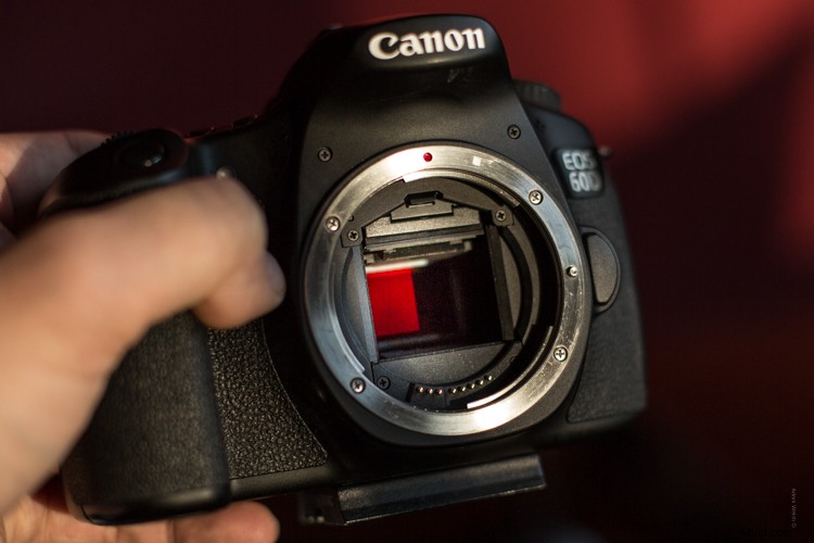 Discovering Infrared Photography: My First Shoot and Stunning Results