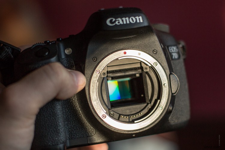 Discovering Infrared Photography: My First Shoot and Stunning Results