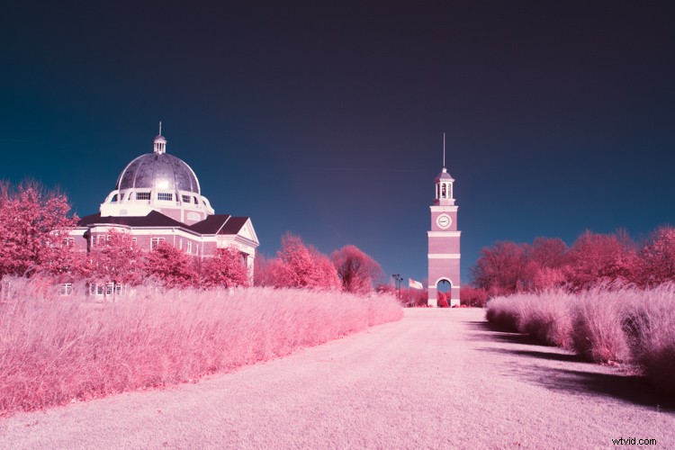 Discovering Infrared Photography: My First Shoot and Stunning Results