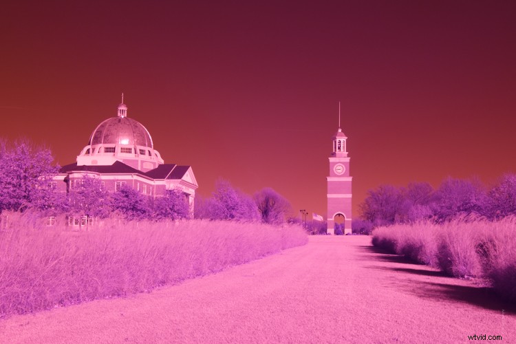Discovering Infrared Photography: My First Shoot and Stunning Results