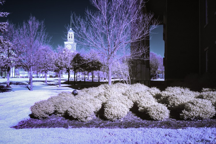 Discovering Infrared Photography: My First Shoot and Stunning Results