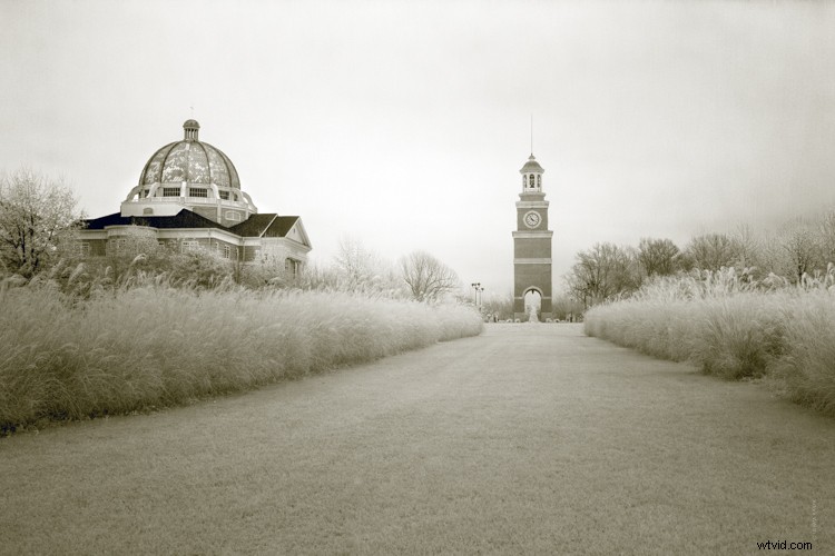 Discovering Infrared Photography: My First Shoot and Stunning Results
