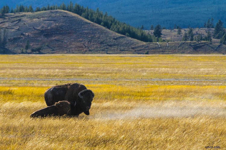 Mastering Color in Photography: Expert Tips for Stunning Shots