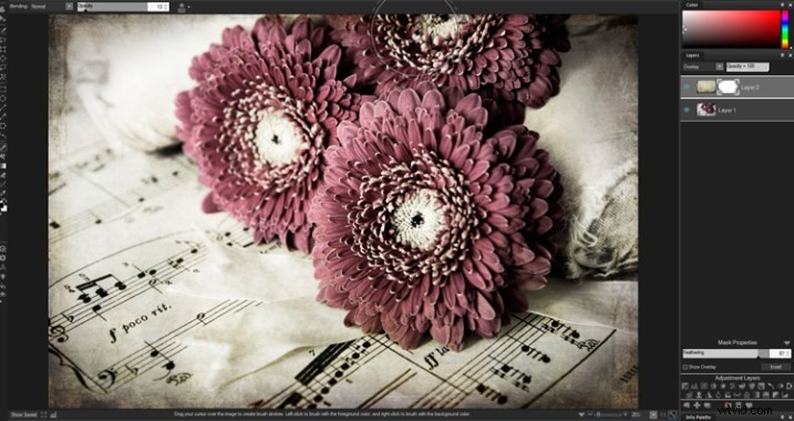 Master Creative Layer Editing in ACDSee Photo Studio Ultimate 2018: Step-by-Step Guide