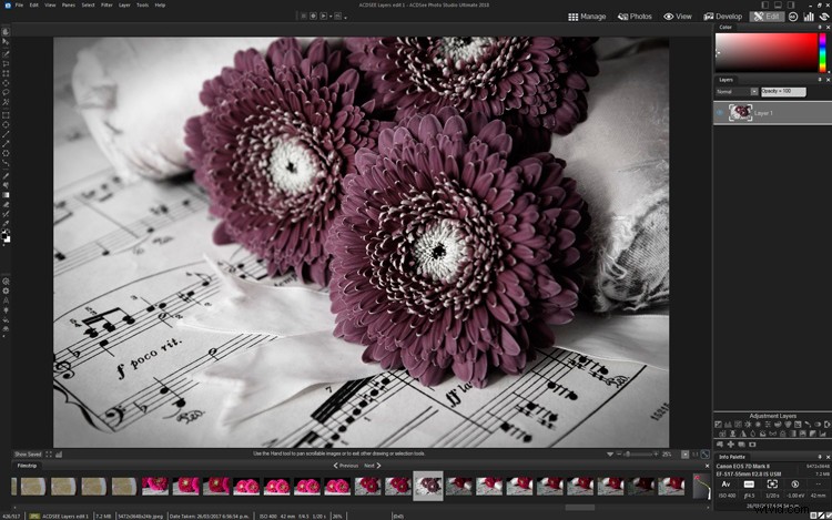 Master Creative Layer Editing in ACDSee Photo Studio Ultimate 2018: Step-by-Step Guide