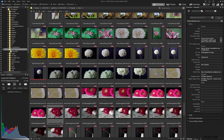 Master Creative Layer Editing in ACDSee Photo Studio Ultimate 2018: Step-by-Step Guide