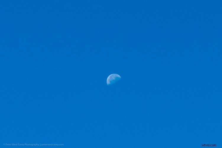 Sony RX100 V Review: Expert Insights on the Ultimate Compact Camera